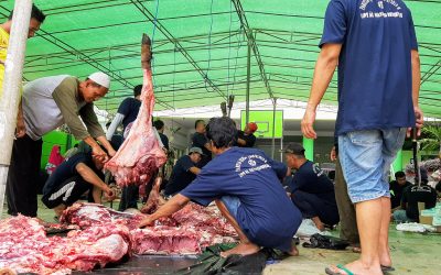 Siswa SMPI Al Hasanah Berkurban 8 Sapi dan 2 Kambing
