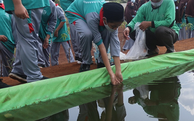 Peduli Lingkungan, SMPI Al Hasanah Tanam Pohon dan Sebar Bibit Lele di SIT Al Hasanah 2 Betungan