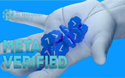 Meta Verified